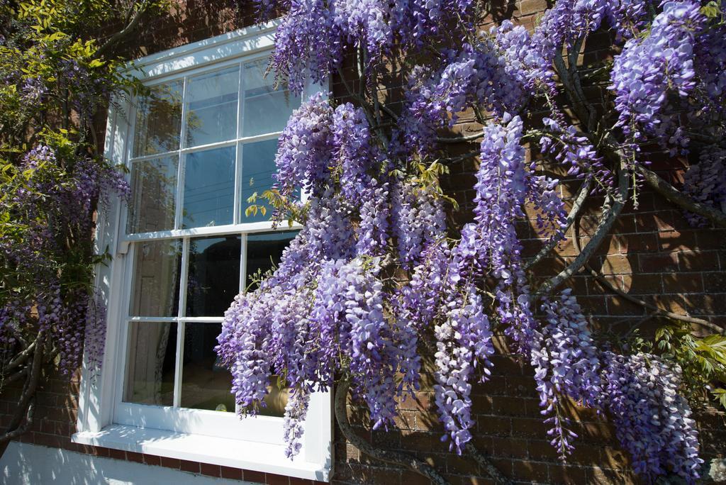 Boreham House Herstmonceux Zewnętrze zdjęcie